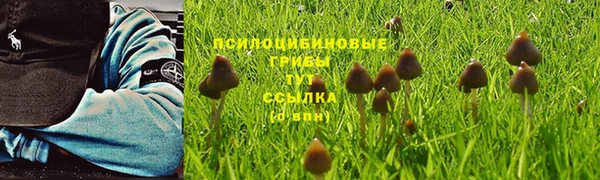 Альфа ПВП Зеленокумск