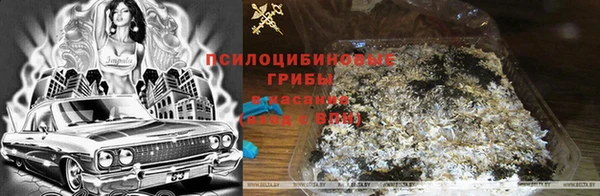 Альфа ПВП Зеленокумск